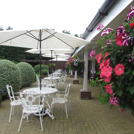 Bed and Breakfast Decoy Barn Fritton Exterior foto
