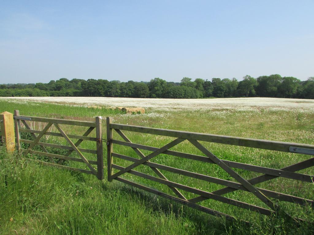 Bed and Breakfast Decoy Barn Fritton Exterior foto