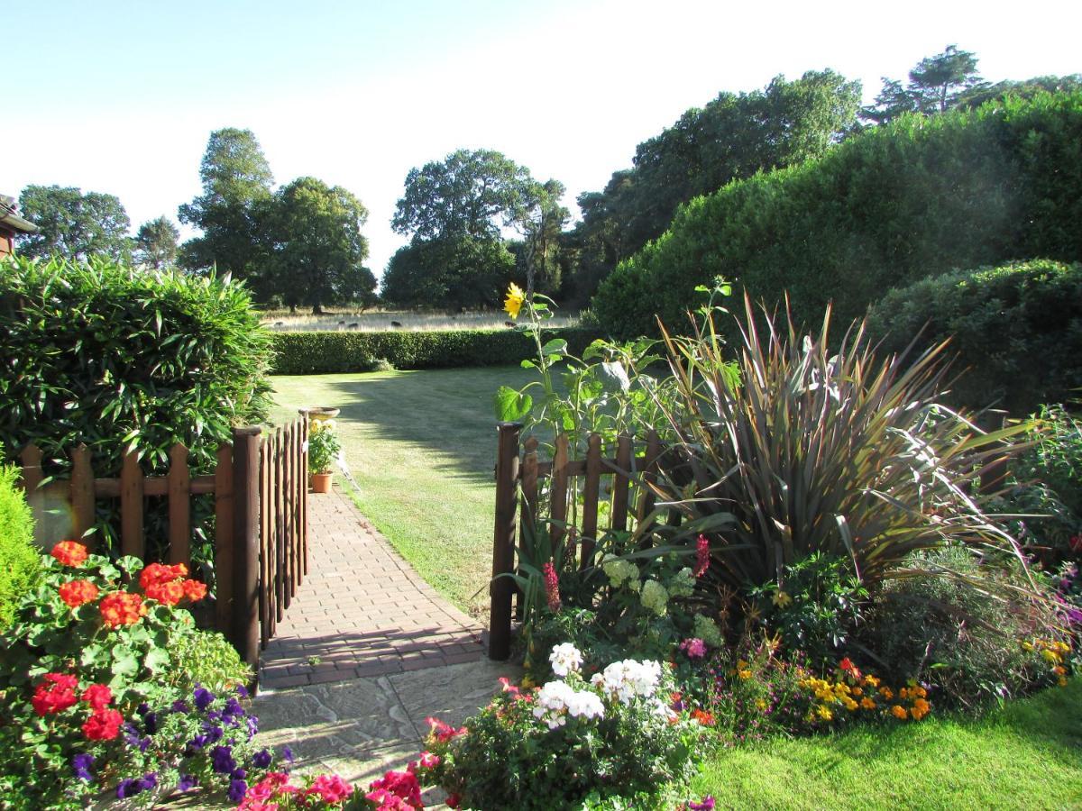 Bed and Breakfast Decoy Barn Fritton Exterior foto